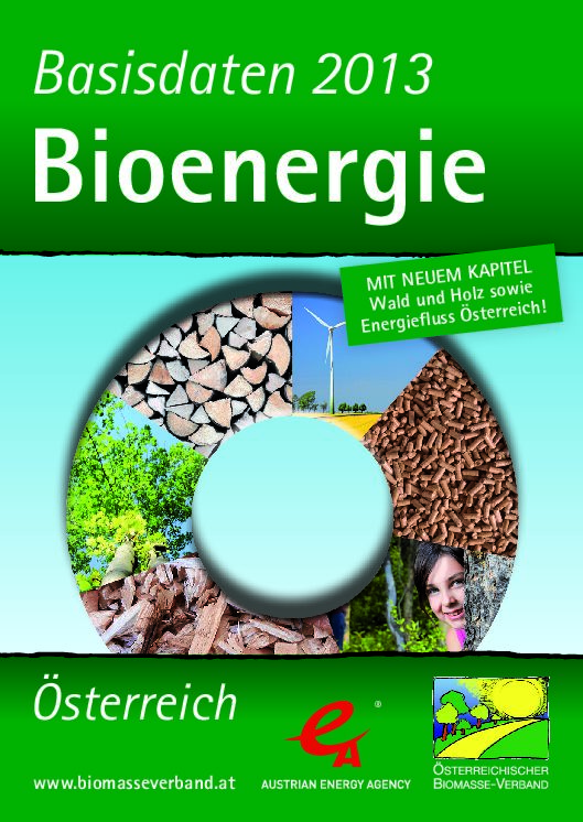 2013_09_Basisdaten_Bioenergie2013_30.000