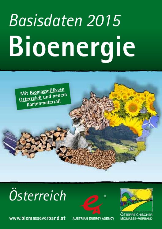 2015_09_Basisdaten Bioenergie 2015_30.000